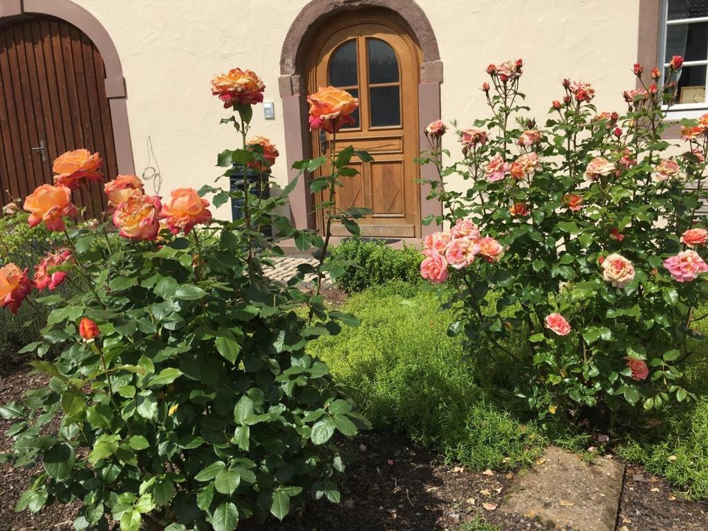 Ferienwohnung In Historischem Bauernhaus In Der Eifel Mettendorf Extérieur photo
